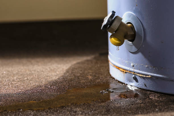 Best Water damage cleanup near me  in Poth, TX