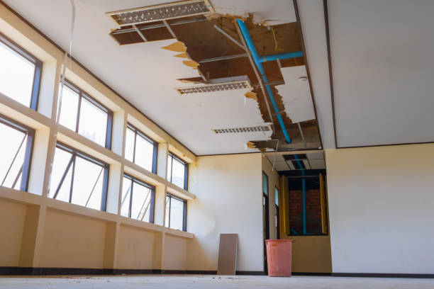 Best Ceiling water damage repair  in Poth, TX