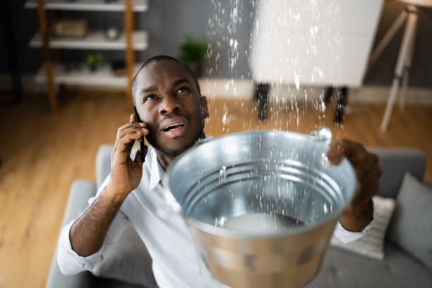 Best Flood restoration services  in Poth, TX