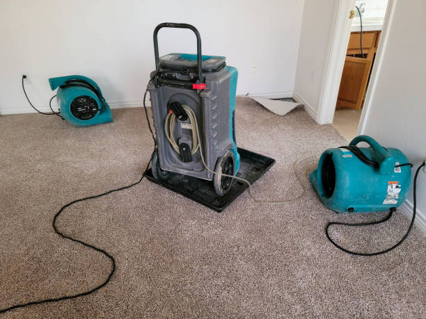 Best Sewage cleanup and water damage restoration  in Poth, TX