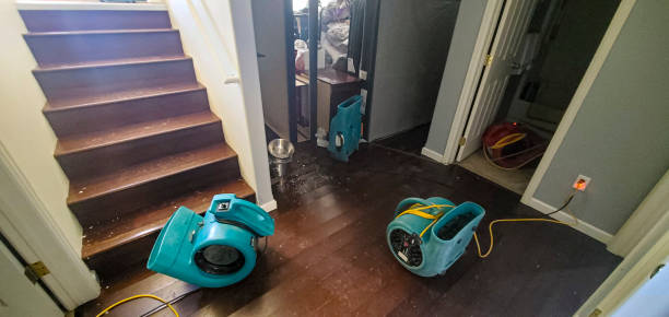 Best Emergency water damage restoration  in Poth, TX