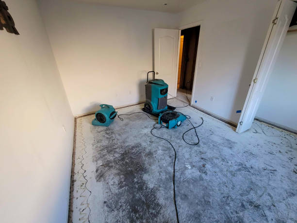 Best Water damage mitigation services  in Poth, TX