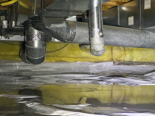 Best Water damage restoration near me  in Poth, TX