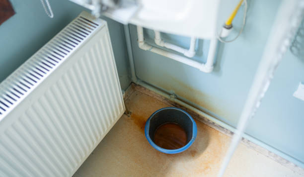 Best Flood damage cleanup  in Poth, TX