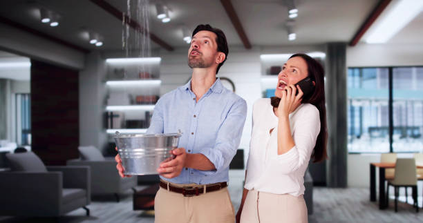 Best Mold removal after water damage  in Poth, TX